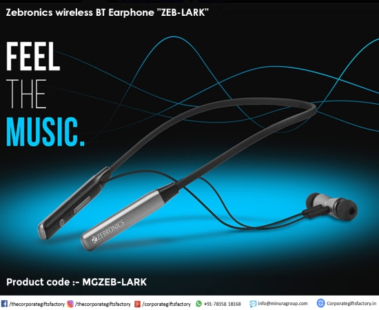 Zebronics wireless BT Earphone ZEB LARK MGZEB LARK